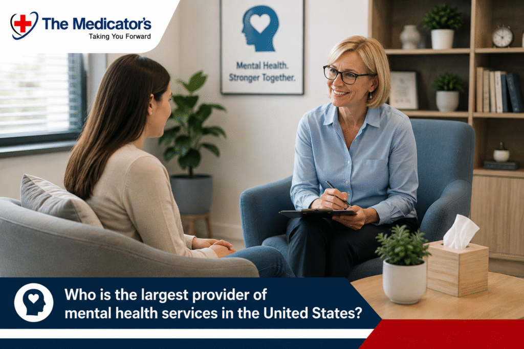 Who Is the Largest Provider of Mental Health Services in the United States?